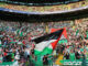 Celtic wave Palestinian flags