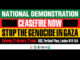 Palestine march 3 February