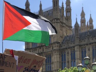 Palestine flag parliament