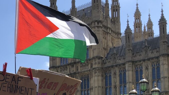 Palestine flag parliament
